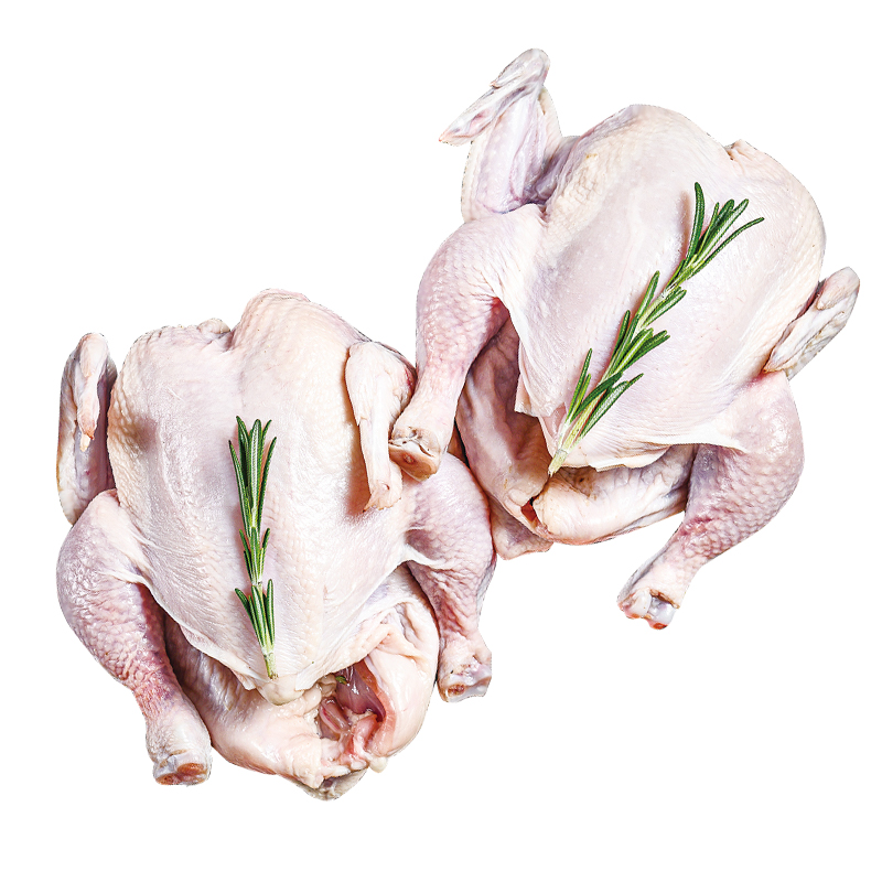 POLLO INTERO CONG.1100G*10PZ 整鸡